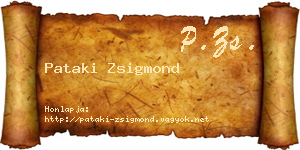 Pataki Zsigmond névjegykártya