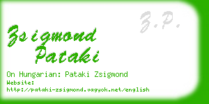 zsigmond pataki business card